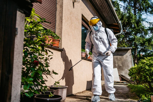 Best Wasp Removal Services  in Berea, KY